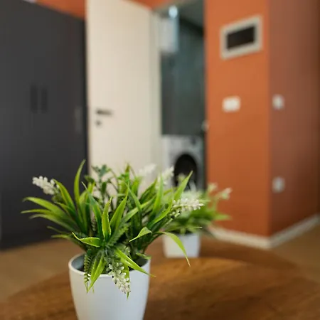 Kristal Center, Studio,near Artificial Apartamento