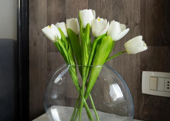 Kristal Center, Studio,near Artificial